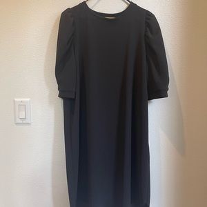 Zara Ruche Sleeve Dress
